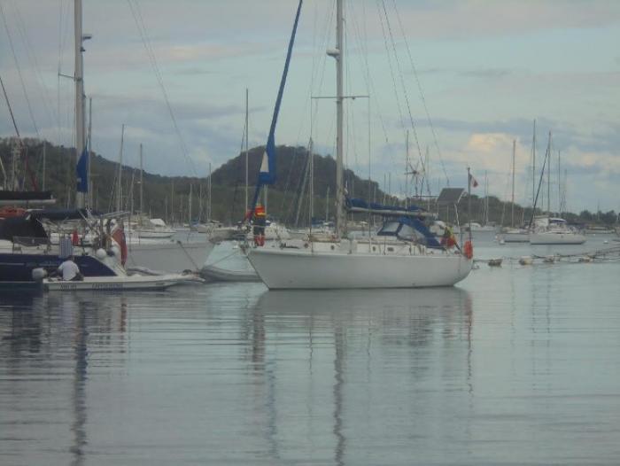 Les deux navigateurs du "Semper Fi" à bon port en Martinique après 15 jours d'épreuve en mer