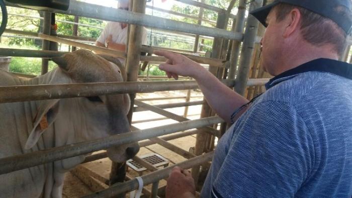 Les éleveurs à la recherche de nouveaux savoir-faire avec leurs bêtes