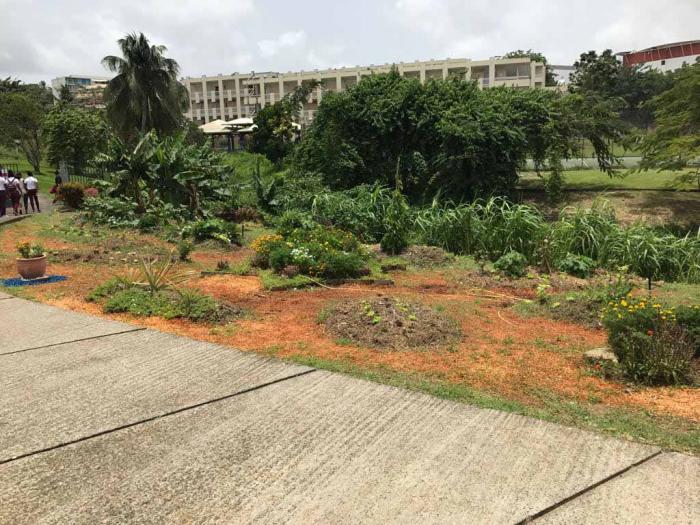 Les élèves de Segpa du collège Perrinon assurent en horticulture