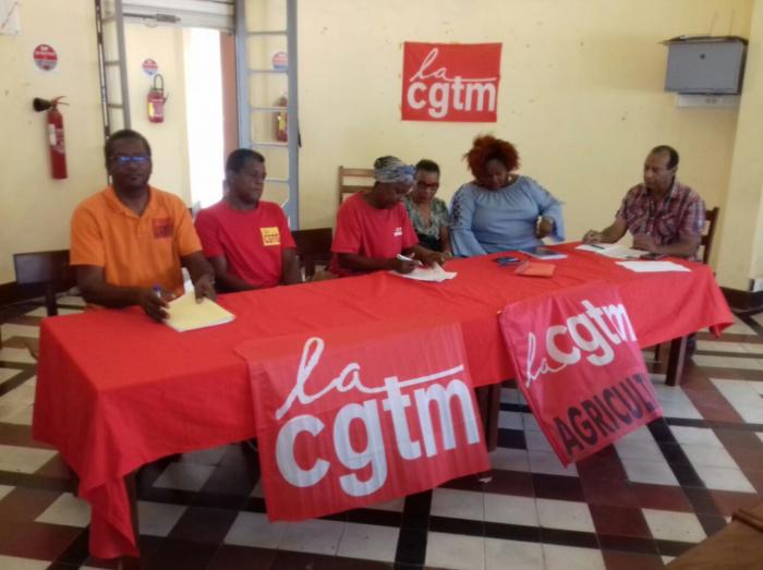 Les ouvriers de la banane de Martinique et de Guadeloupe unis contre le chlordécone