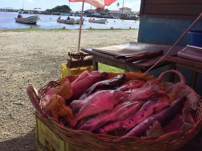 Les pêcheurs professionnels tentent de rassurer les consommateurs
