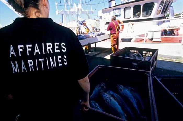 Les services maritimes dressent un bilan