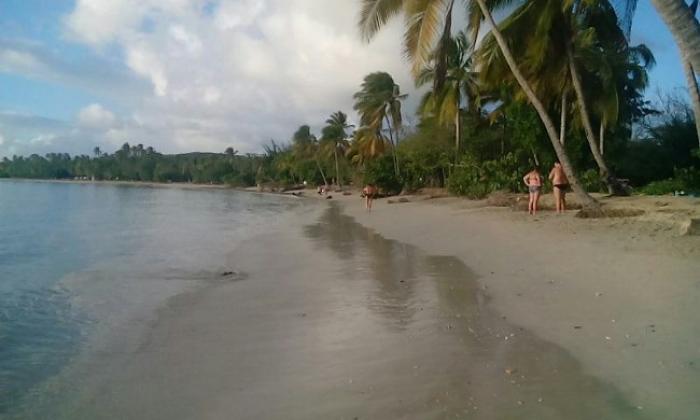 Les touristes jugent les services proposés en Martinique "moyens" ou "pas satisfaisant"