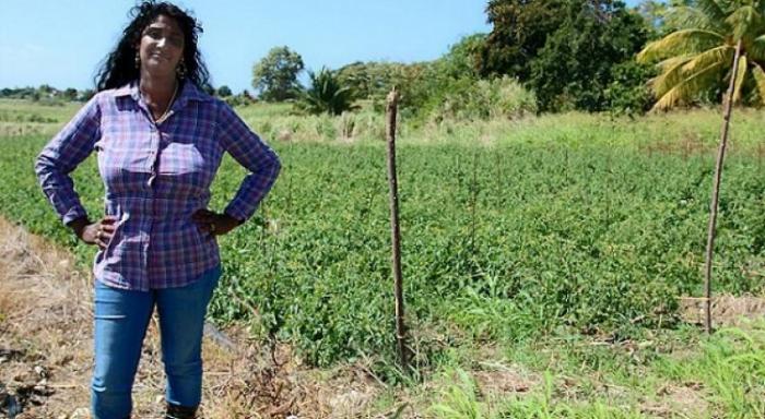 Maxette Grisoni-Pirbakas affirme ne plus être à la tête de la FDSEA
