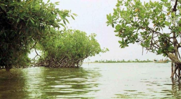 Morne à L’eau meilleure petite ville pour la biodiversité de France 2018