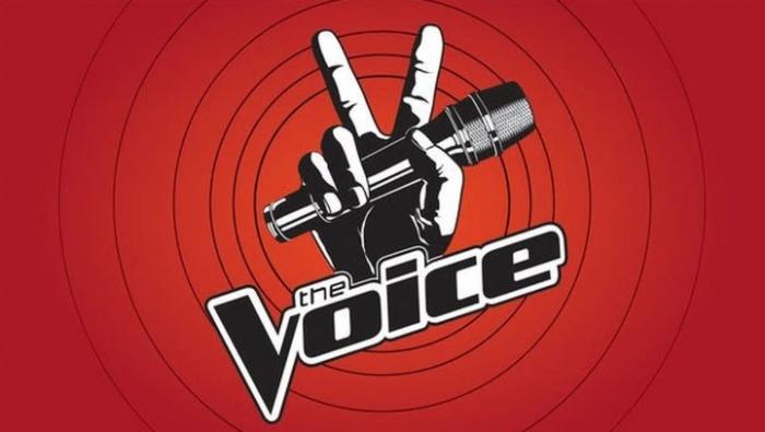 Nouveau casting pour "The Voice" et "The Voice Kids"