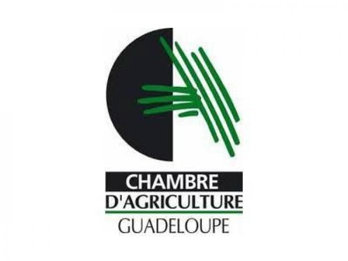 Onze démissionnaires à la Chambre d'agriculture