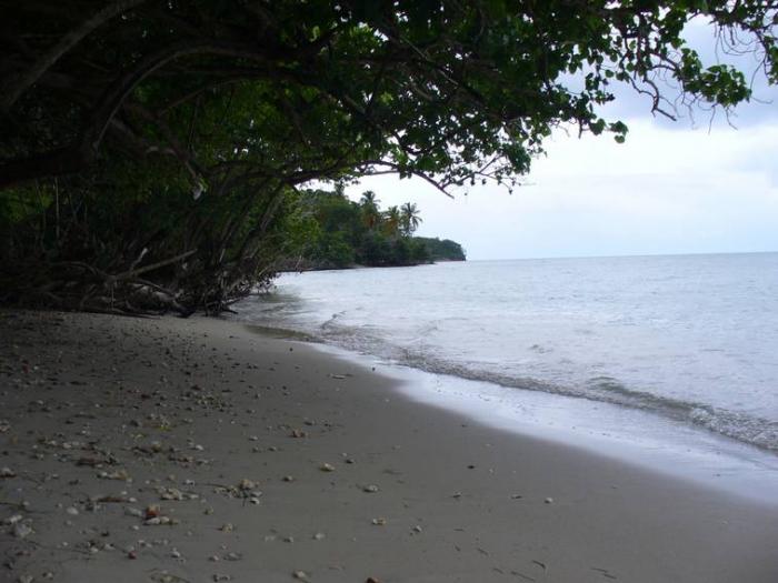 Pas de baignade à Caritan pour l'instant
