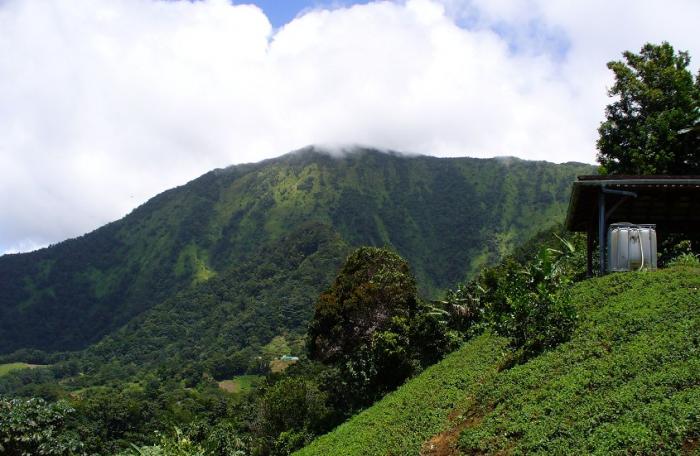 Piton Lacroix au Carbet : un moine parti en randonné retrouvé sain et sauf