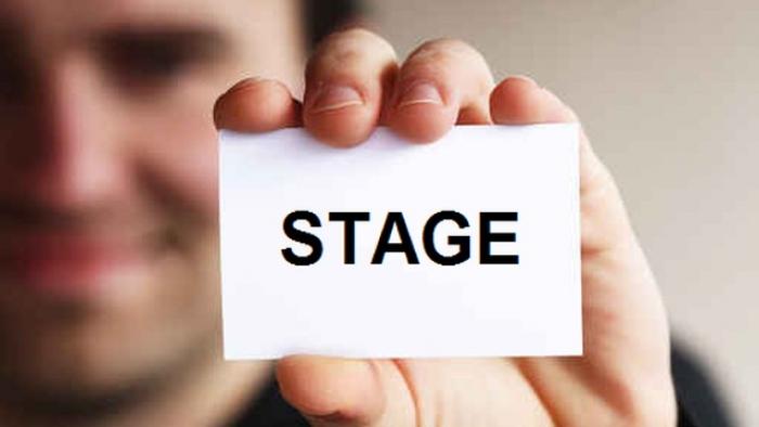 Plus de 2 000 jeunes guadeloupéens ont bénéficié de stages indemnisés cette année