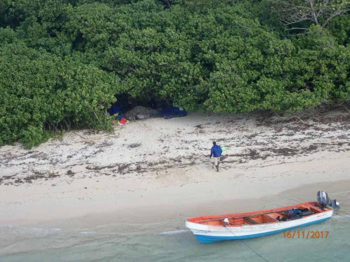 Pêches aux oursins : quatre braconniers sanctionnés