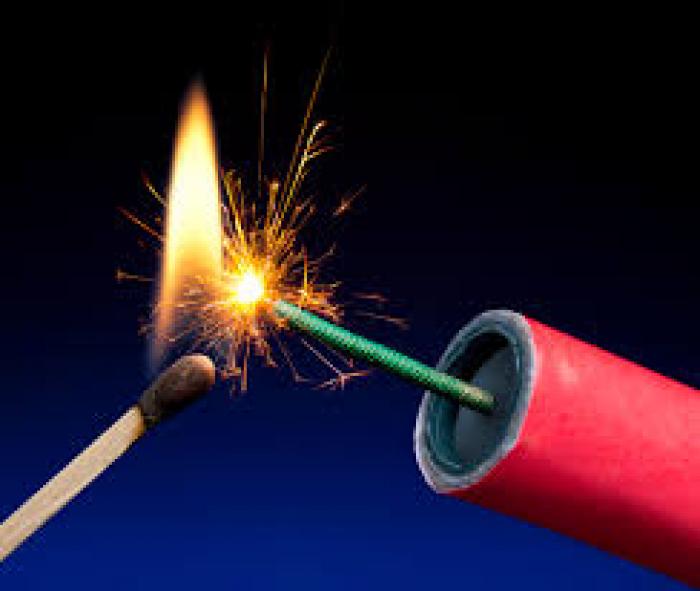 Pétards et feux d'artifice: Attention à vos animaux de compagnie !