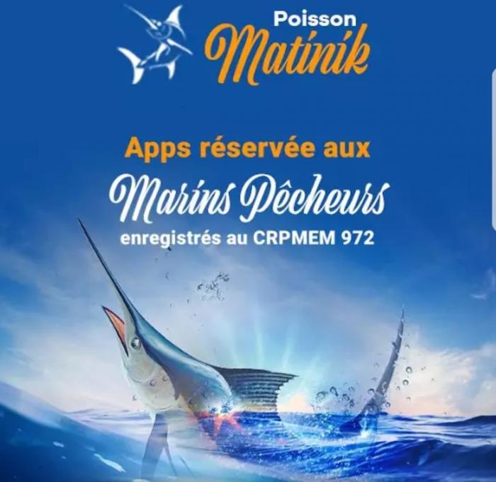 "Pwason Matinik" l'application mobile pour trouver du poisson frais en Martinique