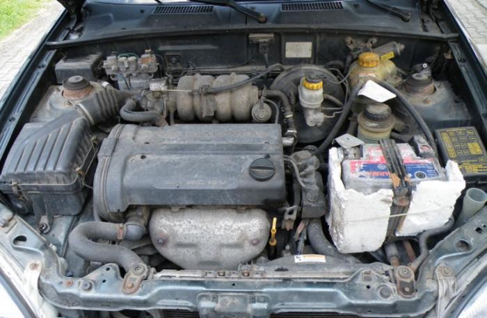 Quand des rats s'attaquent à votre voiture