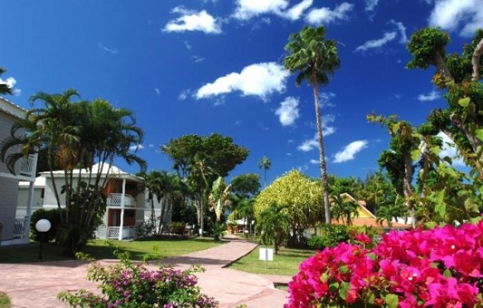 Que sont devenus les anciens salariés de l'hôtel Marouba ?