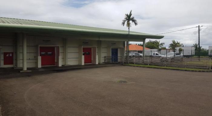 Que va devenir l'abattoir de Martinique ?