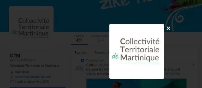 Quel logo pour la Collectivité Territoriale de Martinique ?