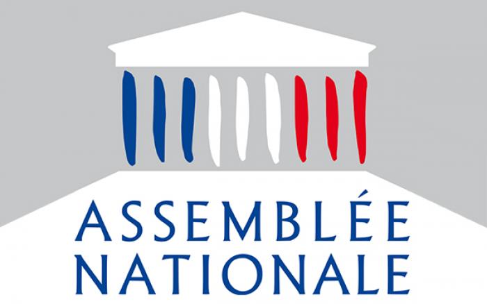 Quels groupes pour les députés martiniquais à l'Assemblée ?