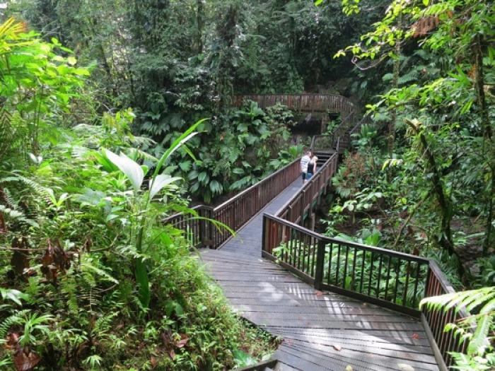 « Rando Guadeloupe », un portail internet de la randonnée