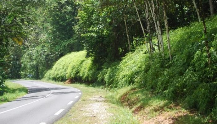 Réouverture totale de la route des Mamelles ce vendredi après-midi