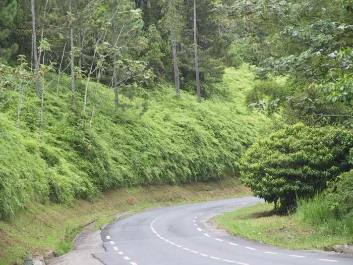 Route des Mamelles : réouverture mercredi midi