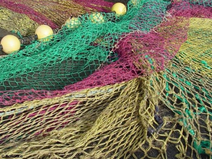 Saisie de pêche illégale à Trinité