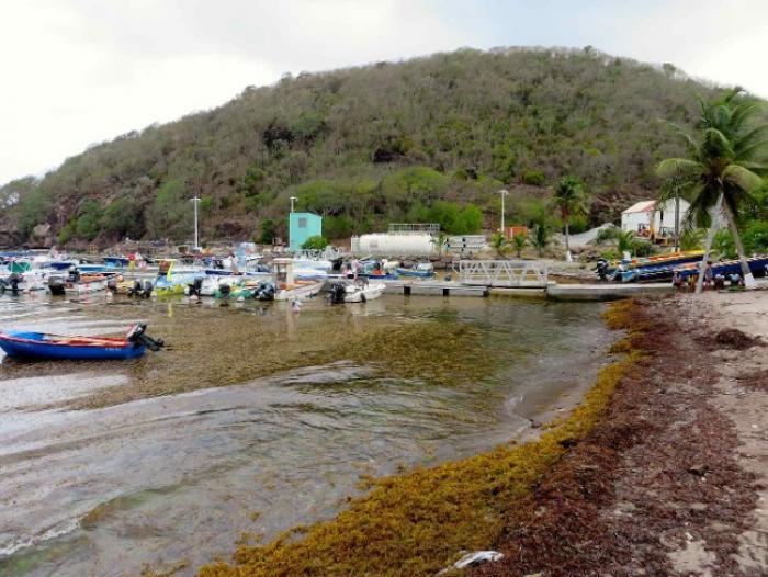 Sargasses : l’activité touristique bat de l’aile aux Saintes