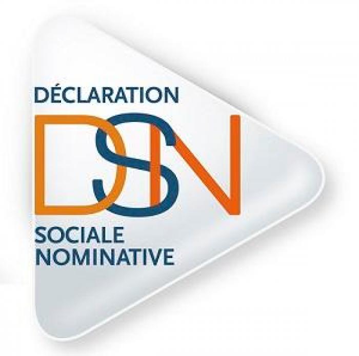 Simplifier la vie des entreprises avec la Déclaration Sociale Nominative
