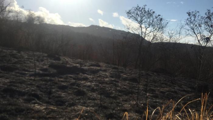 Sécheresse : la préfecture réitère ses recommandations pour prévenir les incendies