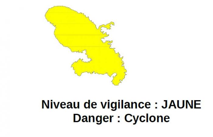 Tempête tropicale Beryl : la vigilance jaune cyclone maintenue