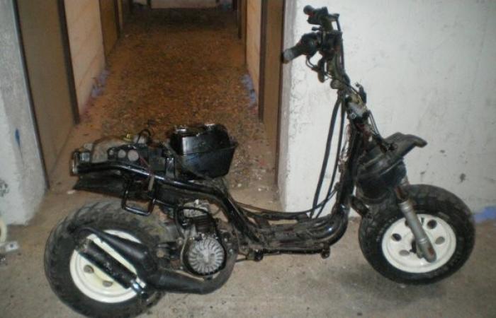 Trente-deux "kabris" saisis par les autorités