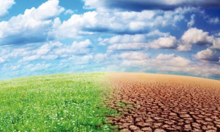 Trois jours pour débattre autour du développement durable