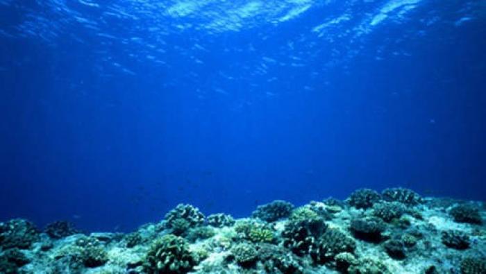 Trois jours pour nettoyer les fonds marins