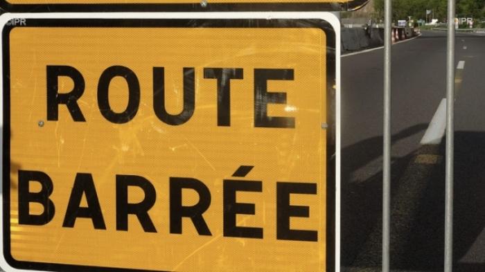 Un arbre chute sur la route à Boisvin Abymes