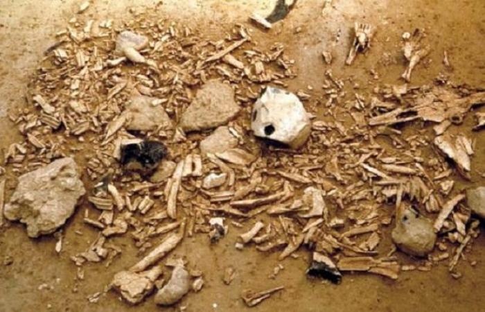 Un cimétière découvert à Carénage
