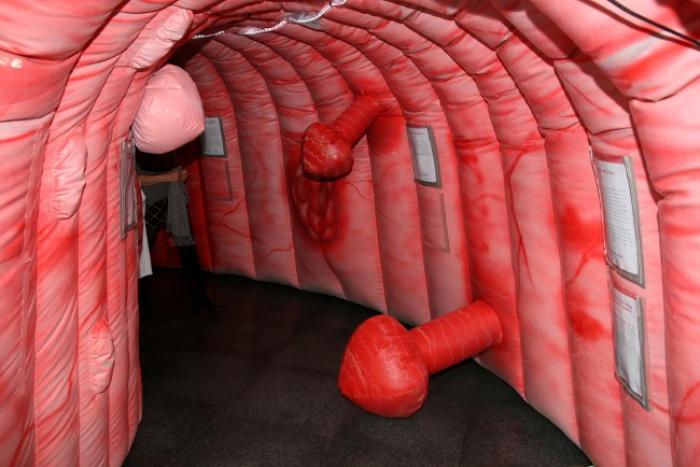 Un colon géant dans nos rues pour informer sur le cancer colorectal