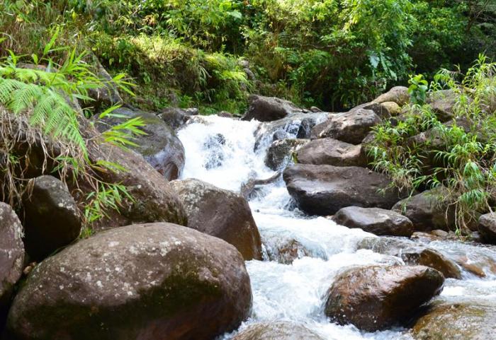 Un corps retrouvé près d'une rivière à Sainte-Rose