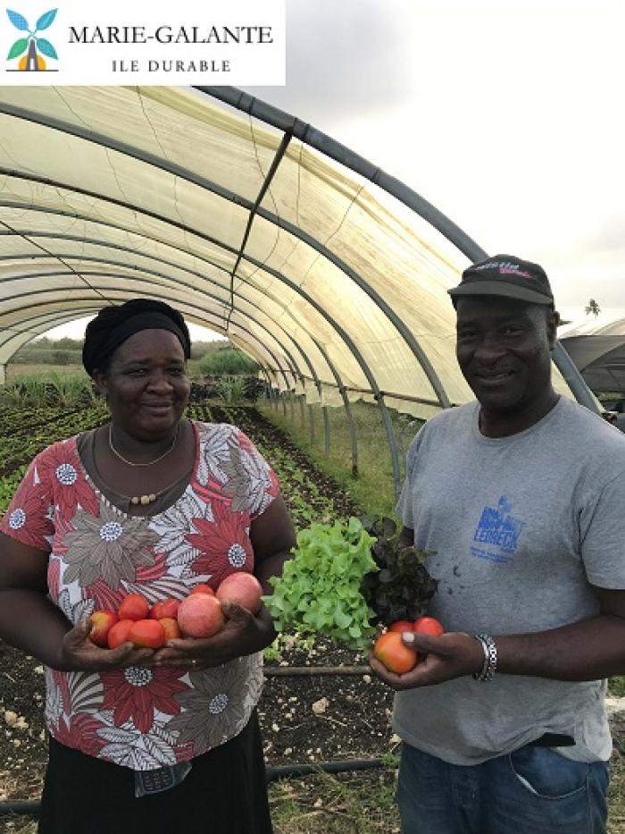 Un couple d'agriculteurs mis à l'honneur à Marie-Galante
