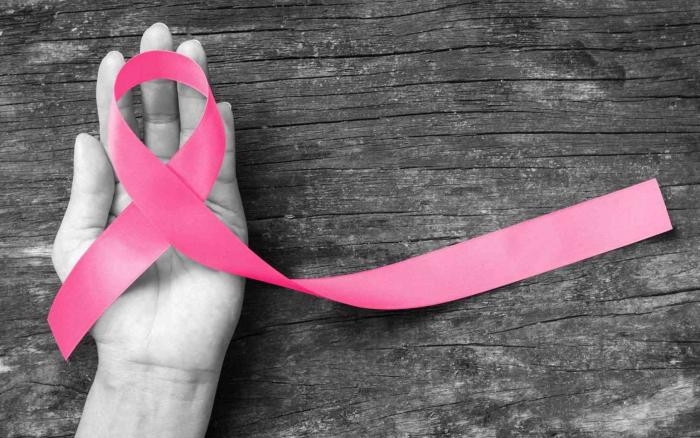 Un défilé de lingerie dans le cadre d'Octobre Rose