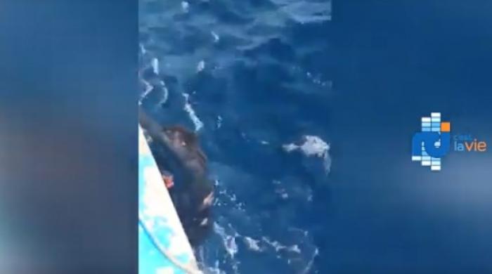 Un homme sauvé après avoir passé 13 heures seul en pleine mer