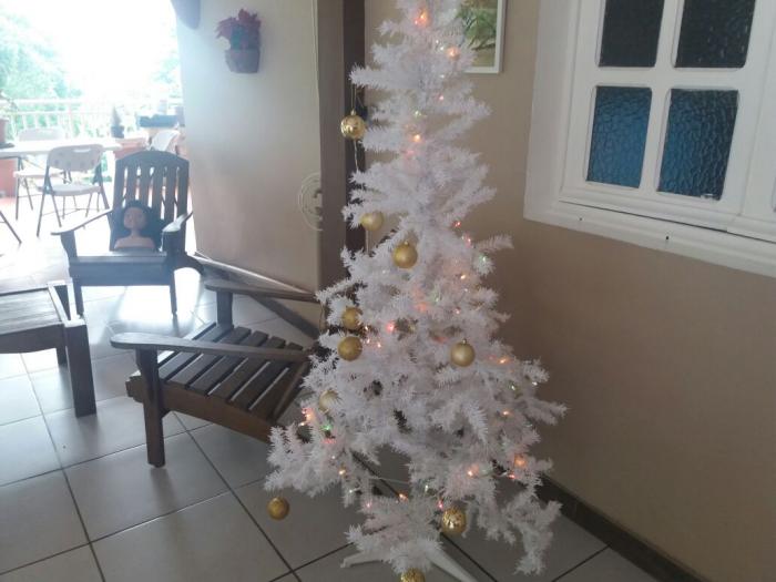 Un noël comme les autres chez les assistants familiaux