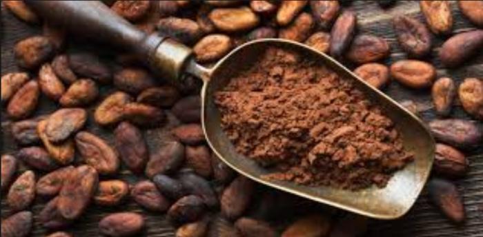Un nouveau souffle pour la filière cacao