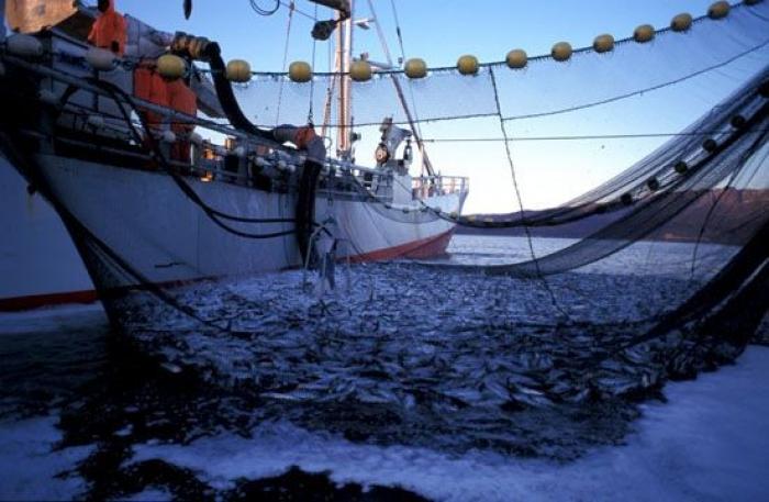 Un pêcheur pris dans les filets de la Justice