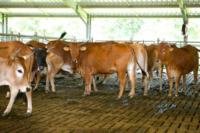 Un programme pour aider les agriculteurs