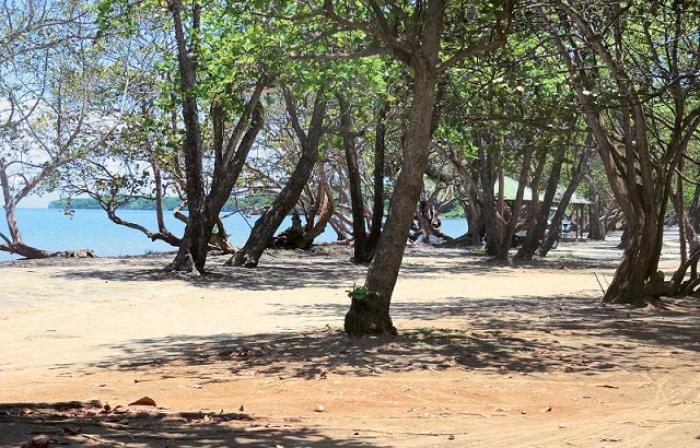 Un restaurant installé depuis 25 ans démoli sur la plage de Viard