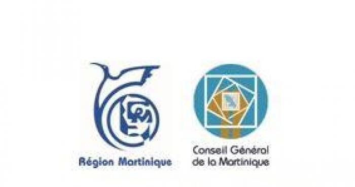 Un site internet pour tout savoir sur la collectivité territoriale de Martinique !