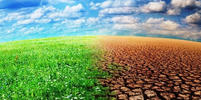 Un séminaire sur l'adaptation au changement climatique