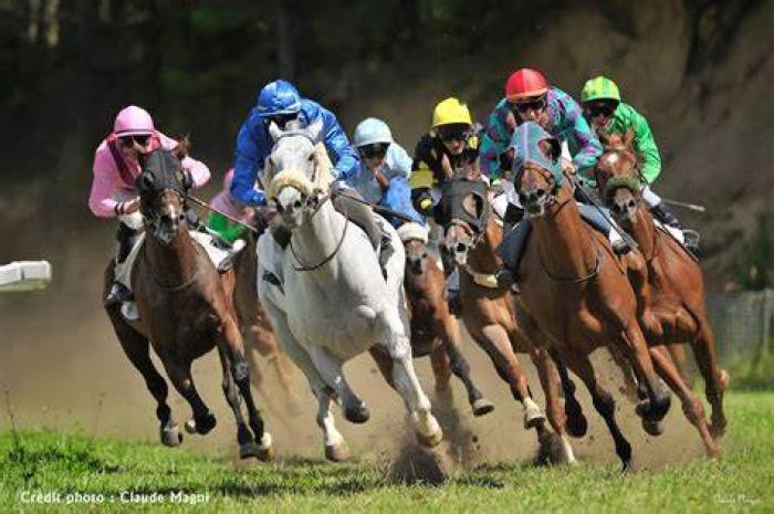 Une 5e place pour Joel Joseph Pambo pour sa première aux courses hippiques