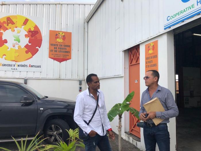 Une centaine d'agriculteurs créent Maïa, une plateforme commerciale coopérative