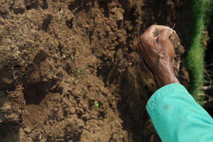 Une convention pour renforcer les échanges entre les agriculteurs de Guadeloupe et d'hexagone
